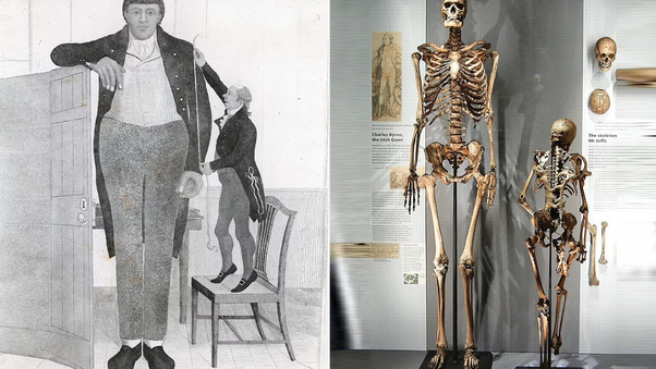 modern human and giant human side-by-side