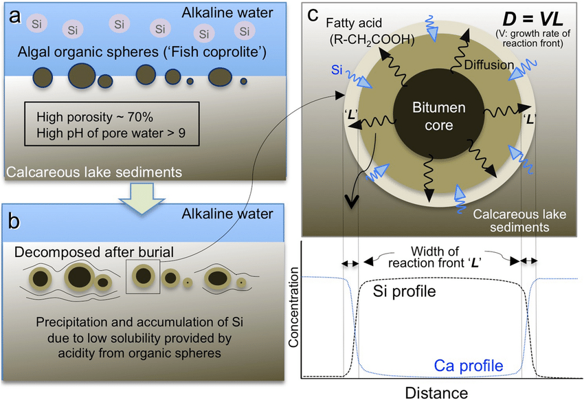 Diagenetic concretion formation process