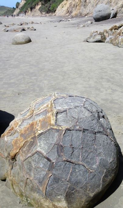 Septarian crack on a Moeraki Boulder