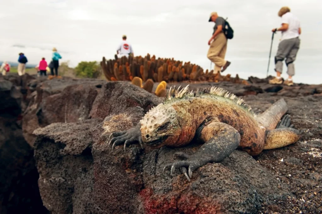 The Galapagos Tourism