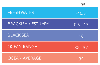 salinity averages