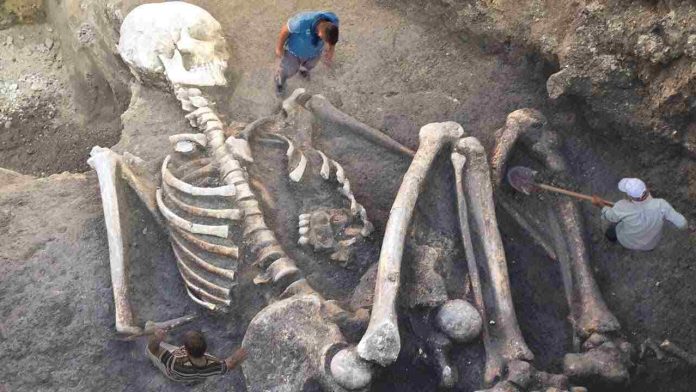 The Myth and Mystery of Giant Skeletons: Uncovering Truth from Hoaxes