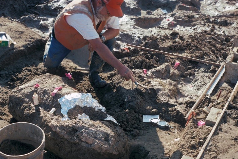 Mastodon Bone Findings1