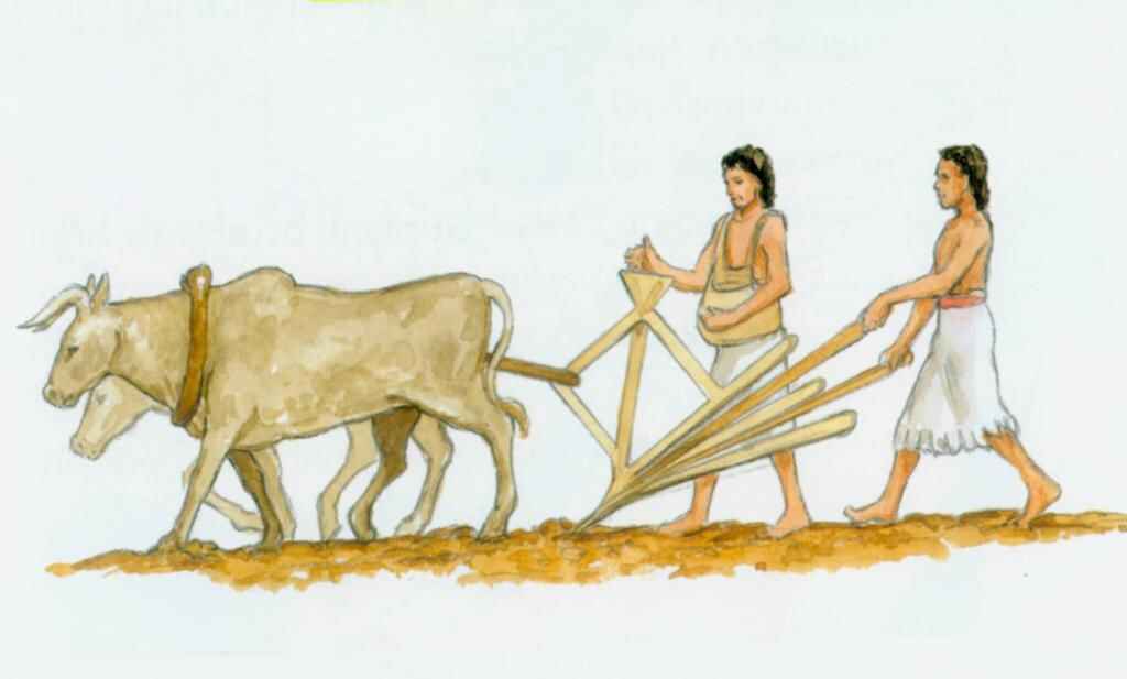 Sumerian Plow