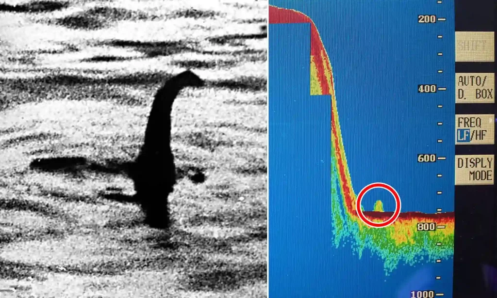 Loch Ness Monster sonar image